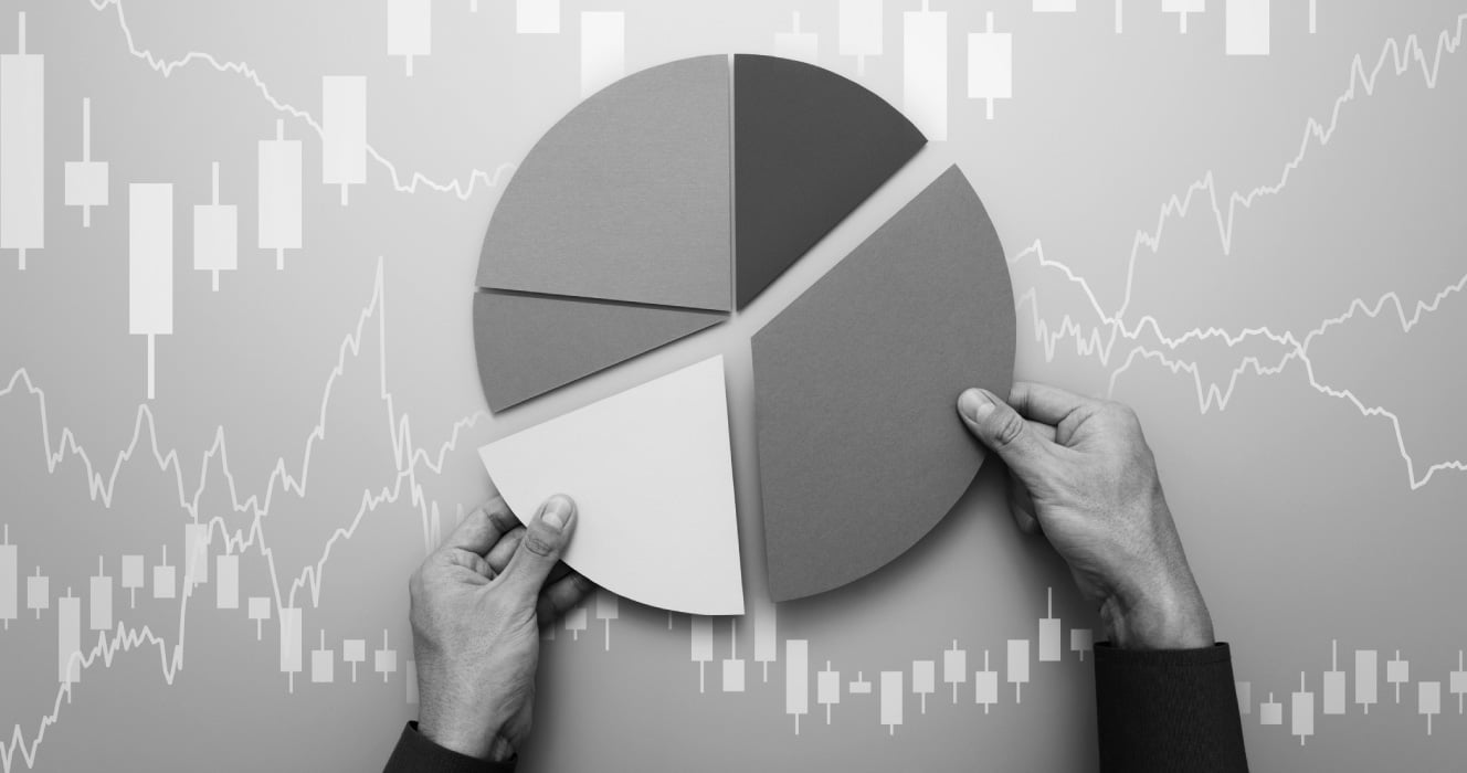 A pie chart for a presentation